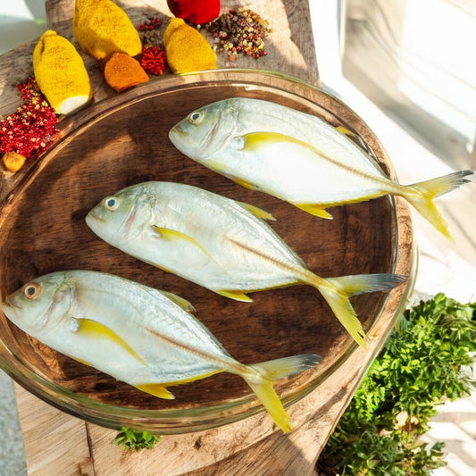 Yellow Trevally /  Manja Parai - Medium (1+ Kgs) / மஞ்சள் பாறை