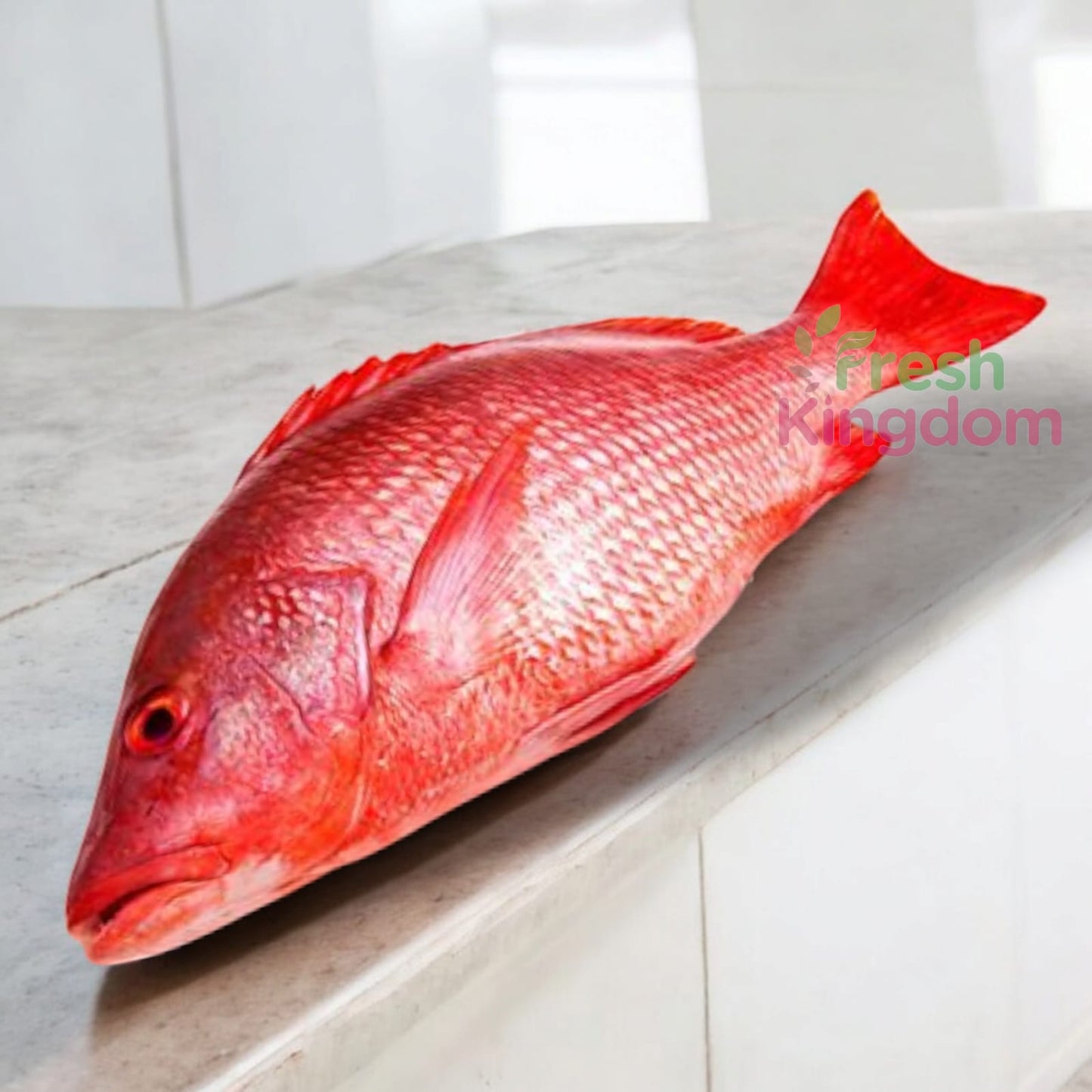 Red Snapper - Large (1 kg+) / சங்கரா மீன்