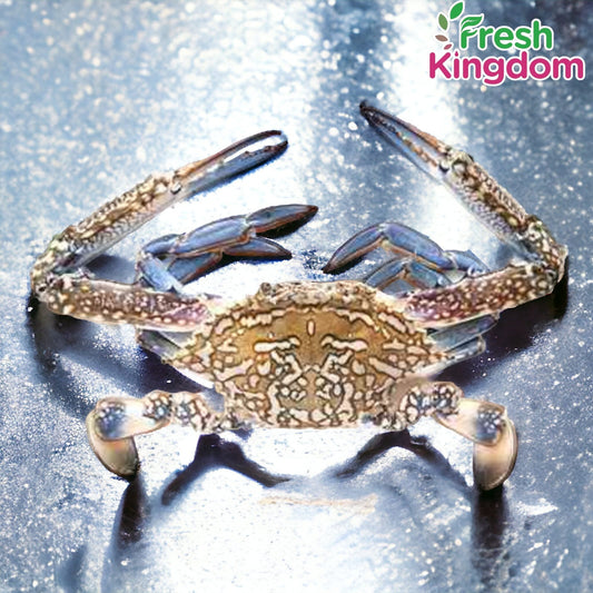 Blue Crab - Medium (6 pc / kg) /  நீலக்கால் நண்டு