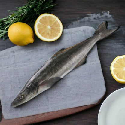 (Child Cut) Cobia - Medium (1 Fish = 2 Kg +)  /  Black Vanjaram / கடல் விரால்