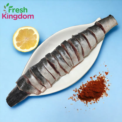 Barracuda - Large (2-5 Kgs) /ஷீலா