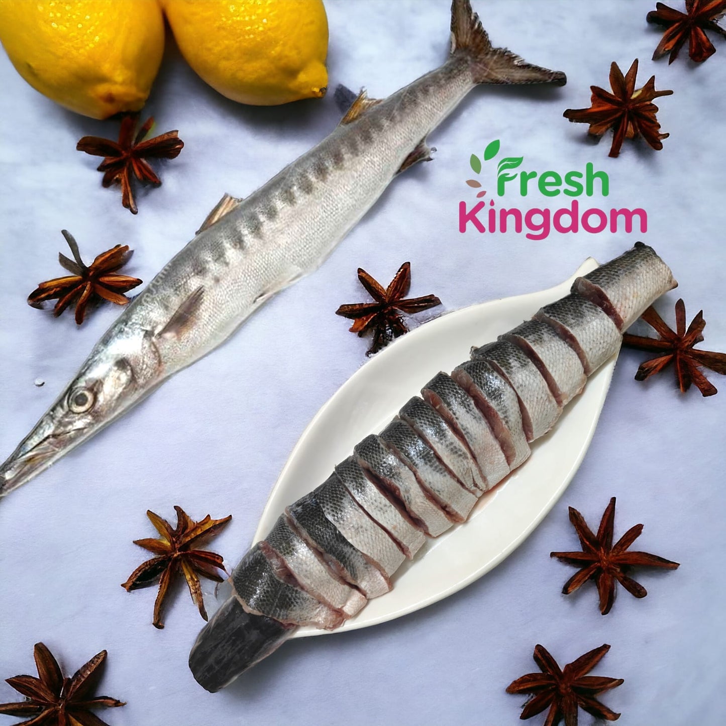 Barracuda - Medium (1 Fish = 500 gms - 2 Kgs) /ஷீலா