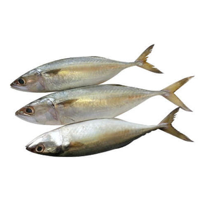 Mackeral - Medium (Size 8to10 pc / Kg) / அயலா