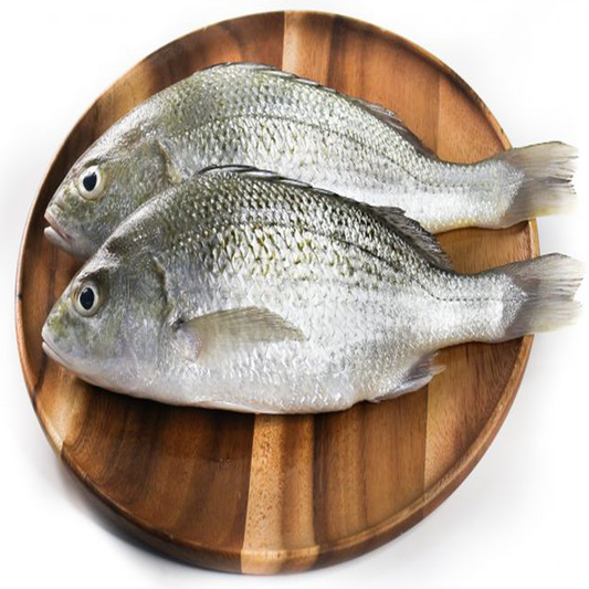 White Snapper - Medium (750 gms - 3.9 Kgs) / கொருக்க